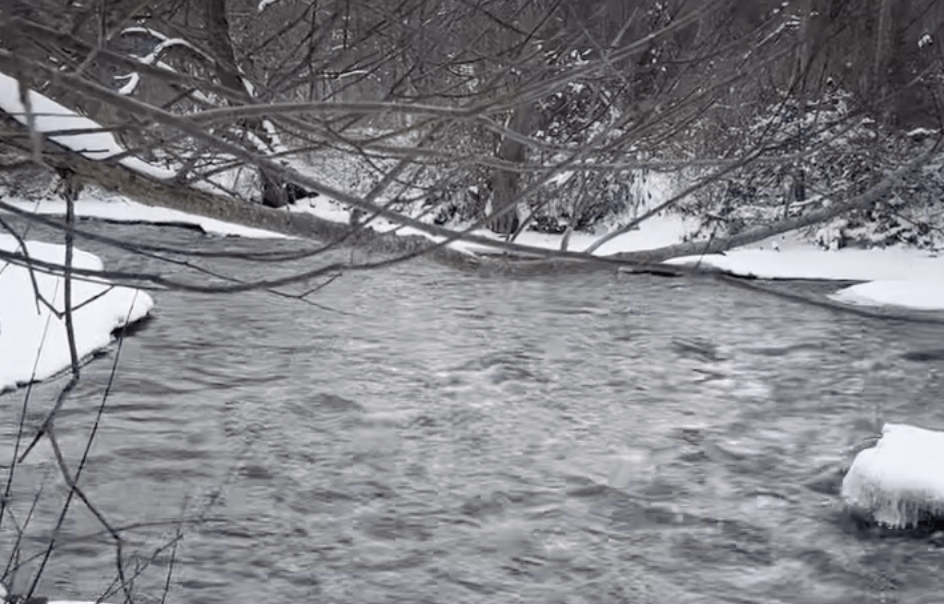 Find Your Sit Spot, Find Your Peace